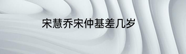 宋慧乔宋仲基差几岁