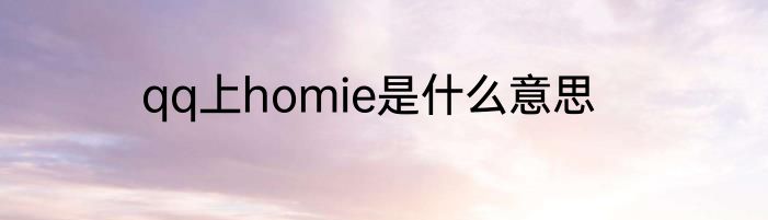 qq上homie是什么意思