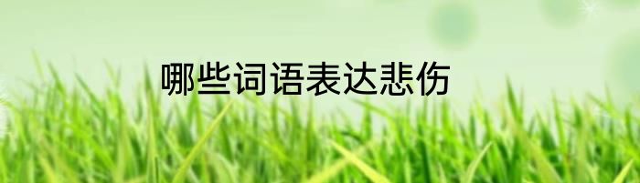 哪些词语表达悲伤