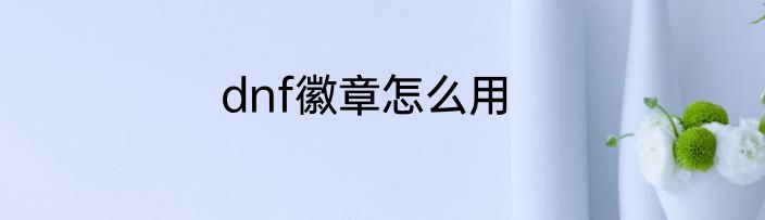 dnf徽章怎么用