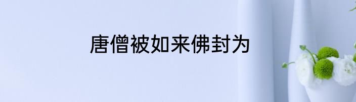 唐僧被如来佛封为