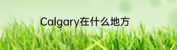 Calgary在什么地方