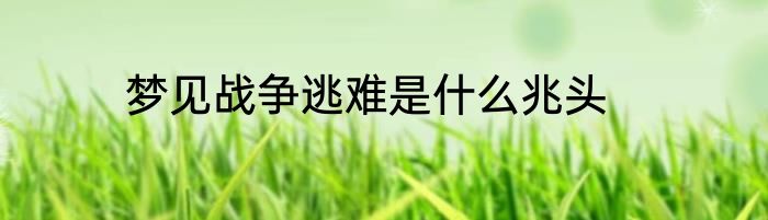 梦见战争逃难是什么兆头