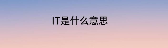 IT是什么意思