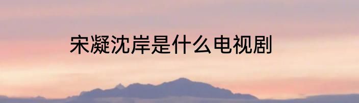 宋凝沈岸是什么电视剧