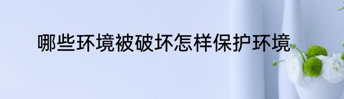 哪些环境被破坏怎样保护环境