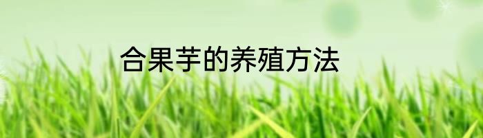 合果芋的养殖方法