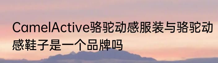 CamelActive骆驼动感服装与骆驼动感鞋子是一个品牌吗