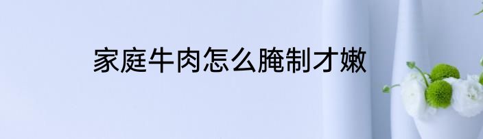 家庭牛肉怎么腌制才嫩