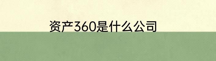 资产360是什么公司