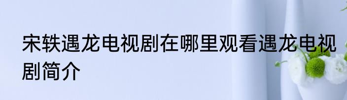 宋轶遇龙电视剧在哪里观看遇龙电视剧简介