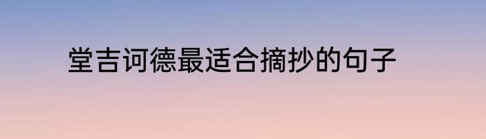 堂吉诃德最适合摘抄的句子