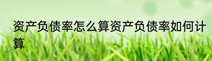 资产负债率怎么算资产负债率如何计算