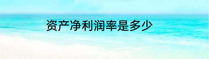 资产净利润率是多少
