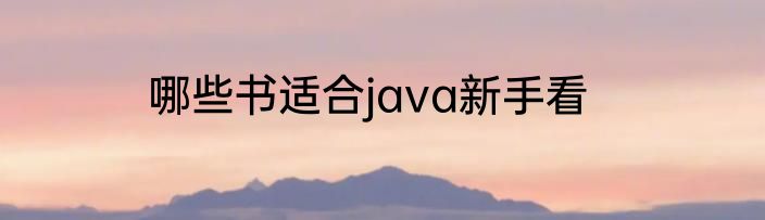 哪些书适合java新手看