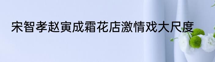 宋智孝赵寅成霜花店激情戏大尺度