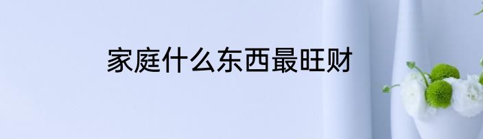 家庭什么东西最旺财