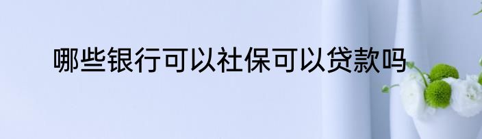 哪些银行可以社保可以贷款吗