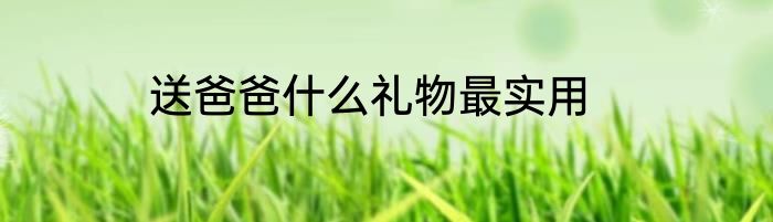 送爸爸什么礼物最实用