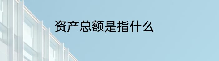资产总额是指什么