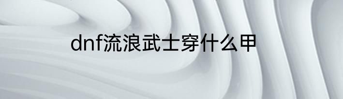 dnf流浪武士穿什么甲
