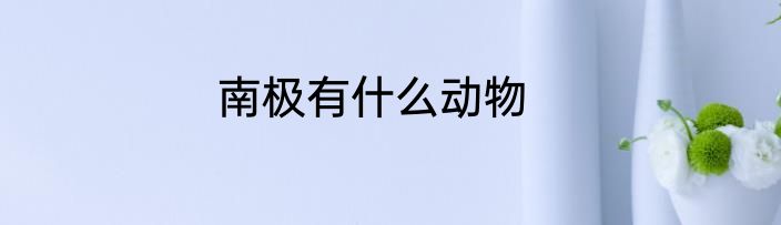 南极有什么动物