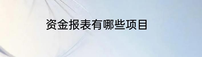 资金报表有哪些项目
