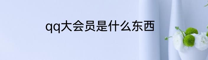 qq大会员是什么东西