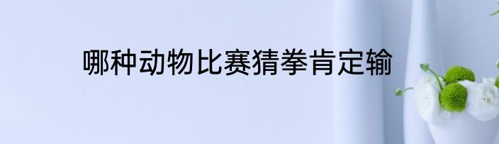 哪种动物比赛猜拳肯定输