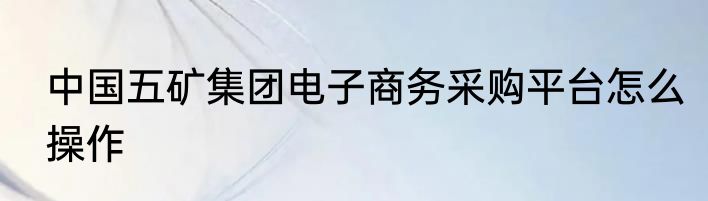 中国五矿集团电子商务采购平台怎么操作