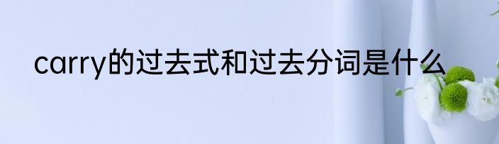 carry的过去式和过去分词是什么