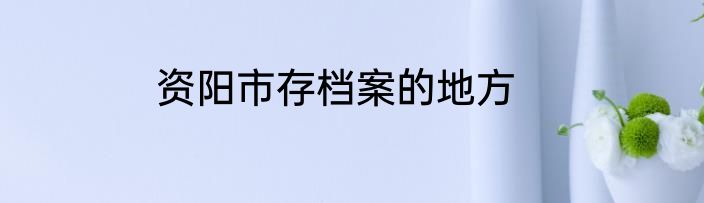 资阳市存档案的地方