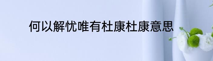 何以解忧唯有杜康杜康意思