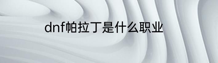 dnf帕拉丁是什么职业