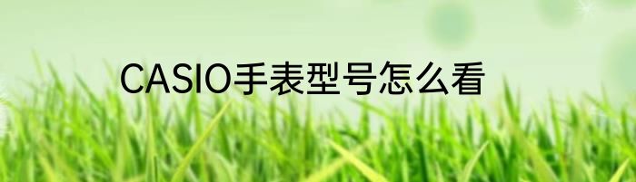 CASIO手表型号怎么看