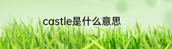 castle是什么意思