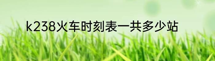 k238火车时刻表一共多少站