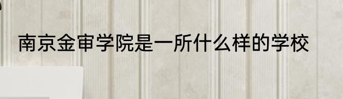 南京金审学院是一所什么样的学校
