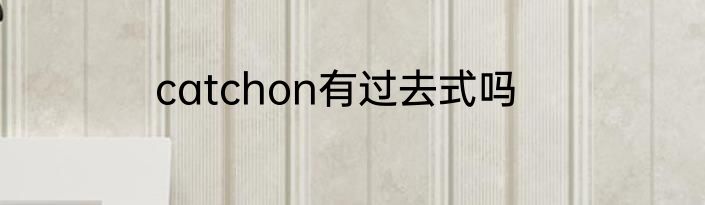 catchon有过去式吗