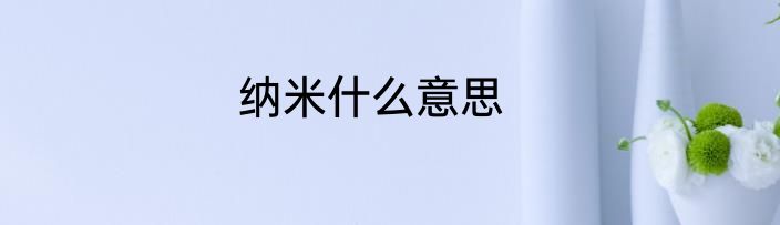 纳米什么意思