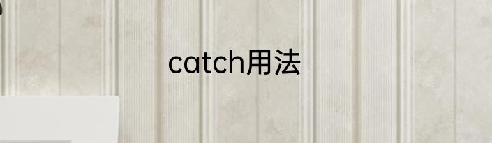catch用法