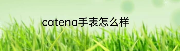 catena手表怎么样