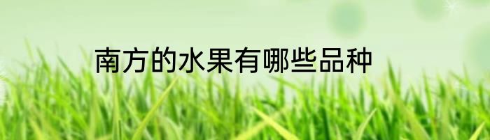 南方的水果有哪些品种
