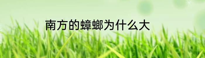 南方的蟑螂为什么大