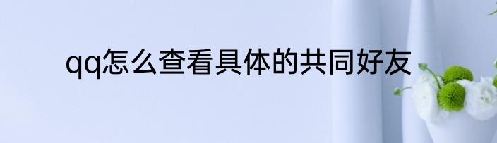 qq怎么查看具体的共同好友