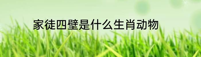 家徒四壁是什么生肖动物