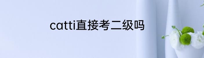 catti直接考二级吗