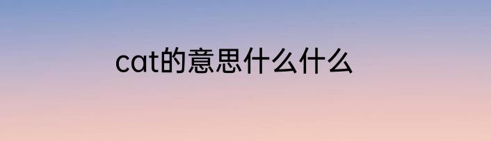 cat的意思什么什么