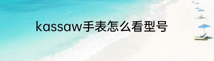 kassaw手表怎么看型号