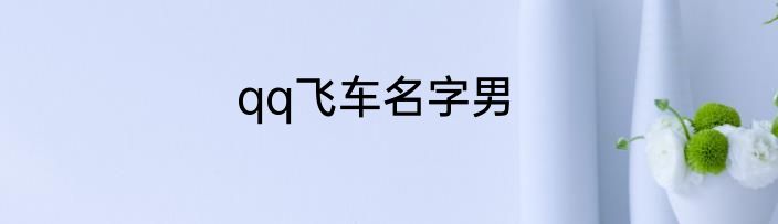 qq飞车名字男